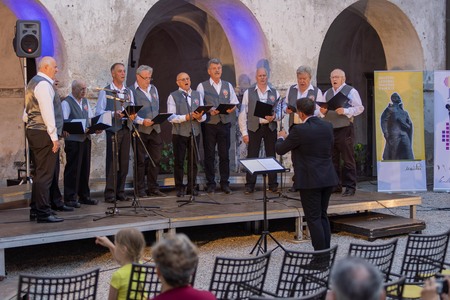 Domovini_koncert domoljubnih pesmi (11)